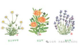  从湿疹看生活中的正向循环与负向循环（内含14年湿疹共存者非传统护理经验） 