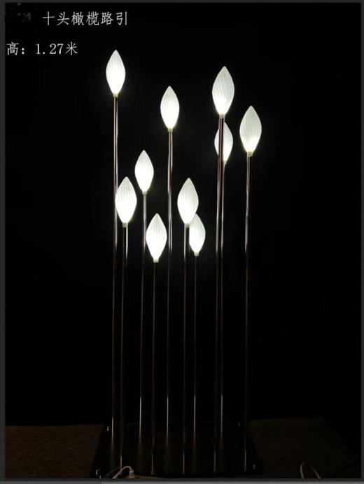 10头橄榄路引（运费自理） 商品图0