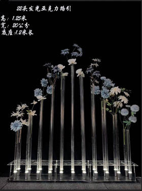 22头发光亚克力路引（运费自理）