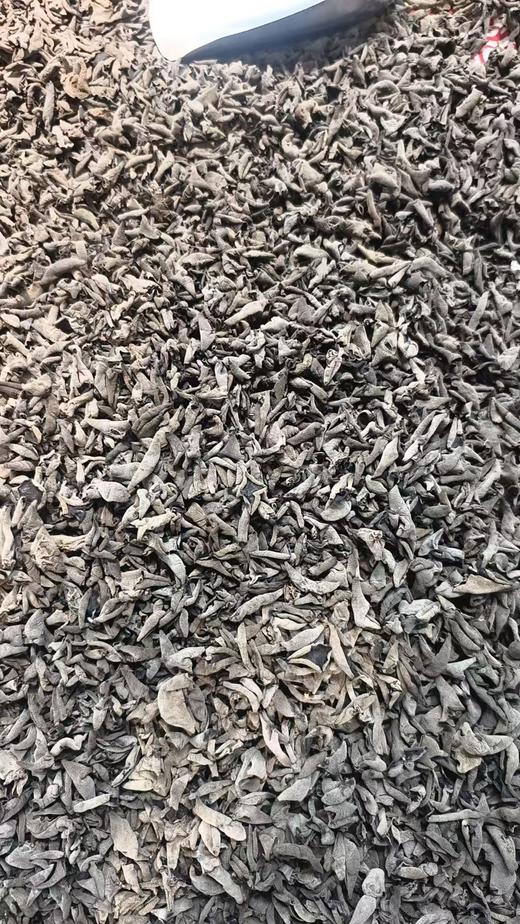 元宝木耳 商品图0