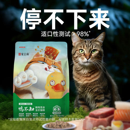 宠王府｜升级版鸡不知鸭不知鸡鸭鱼高蛋白酶解鲜肉低敏成幼猫试吃营养不掉毛 商品图3