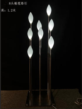 8头橄榄路引（运费自理）