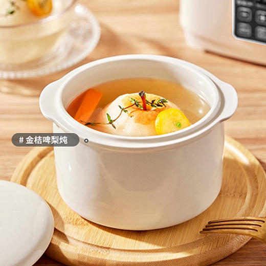 【小家电】海牌 HP-D112多功能电炖盅 卡其色 HF 商品图2