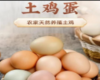 永新县散养土鸡蛋30枚 商品缩略图0