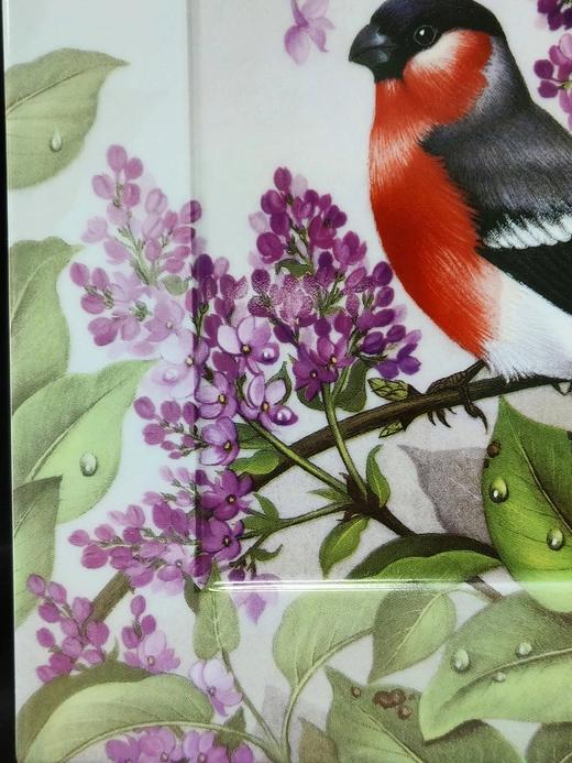 英国德文波特限量鸟类瓷画，薄雾笼罩的清晨系列，这只是丁香苏醒 商品图3