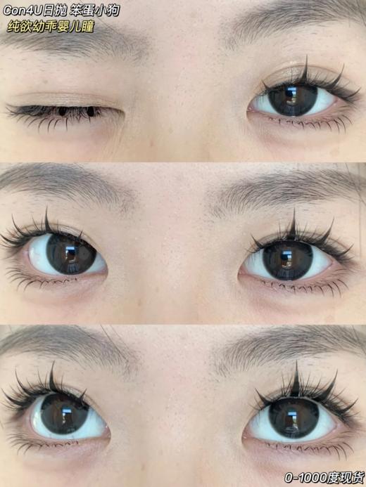 con4u 日抛 笨蛋小狗 14.5mm 黑色 一盒十片 商品图7