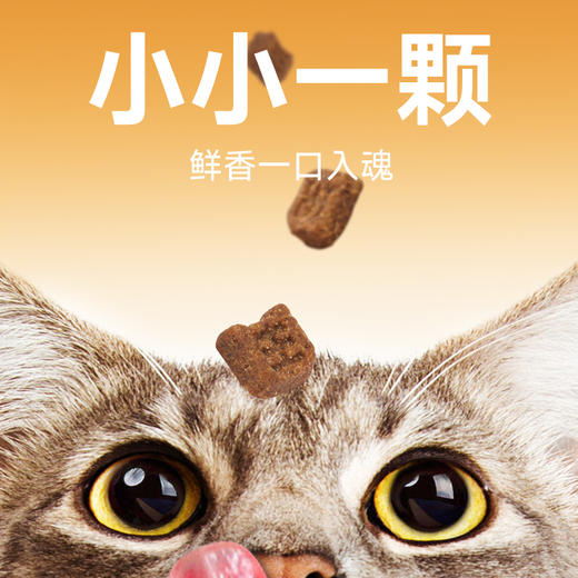 宠王府｜鲜肉低温烘焙猫粮鲜焙大师高端无谷低敏高蛋白幼猫成猫通用 商品图6
