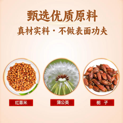 红薏米蒲公英代用茶 商品图1