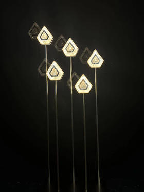 5头新款钻石路引（运费自理）