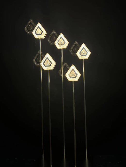 5头新款钻石路引（运费自理） 商品图0