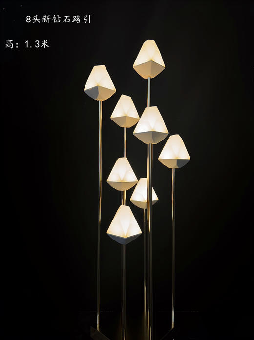 8头新钻石路引（运费自理） 商品图0