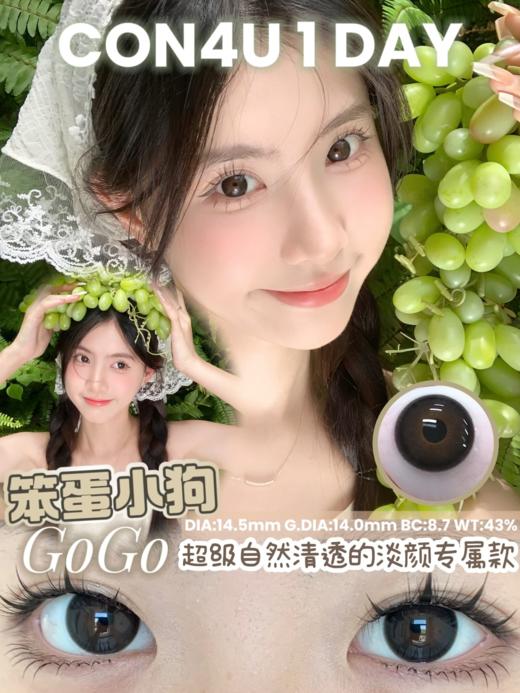 con4u 日抛 笨蛋小狗 14.5mm 黑色 一盒十片 商品图0