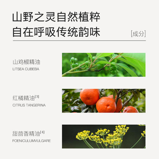 【夏徽-山鸡椒按摩精油】通泰无滞 顺达无虞 商品图1