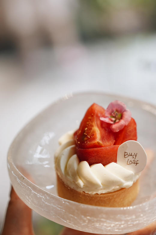 乌梅柠檬野番茄 商品图0