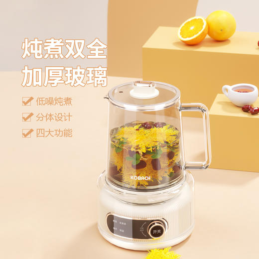 【康巴赫】液体加热器（养生壶）KBH-DSH0502 商品图1
