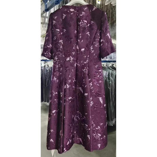 戴布拉芬连衣裙L27C521 商品图1