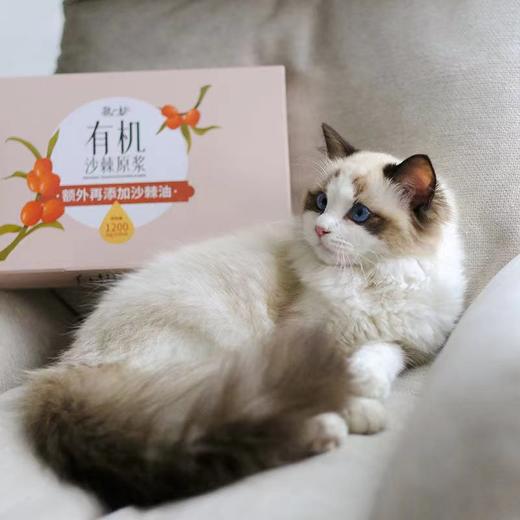 【有机沙棘原浆】奕虹定制沙棘原浆 有机沙棘 额外添加沙棘籽油 0添加，不添加糖。口感优化 内蒙古小果沙棘 食品安全三认证国内食品安全认证 六大安全体系 商品图9