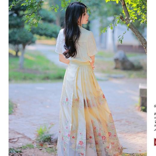 【满庭芳·花信】马面裙织金妆花改良国风新中式蔷薇黄马面套装 商品图0