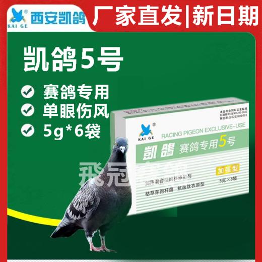 【凯鸽5号】粉5g*6袋，单眼流泪红肿食欲不振单眼伤风克星 商品图0