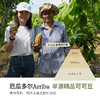 Soacai天然可可粉 120g 商品缩略图3