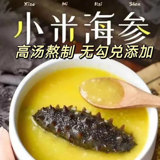 海参小米粥低脂健康懒人即食速食新鲜整只大海参超值装200g金汤辽参粥 商品图2