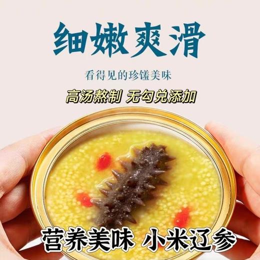 海参小米粥低脂健康懒人即食速食新鲜整只大海参超值装200g金汤辽参粥 商品图3