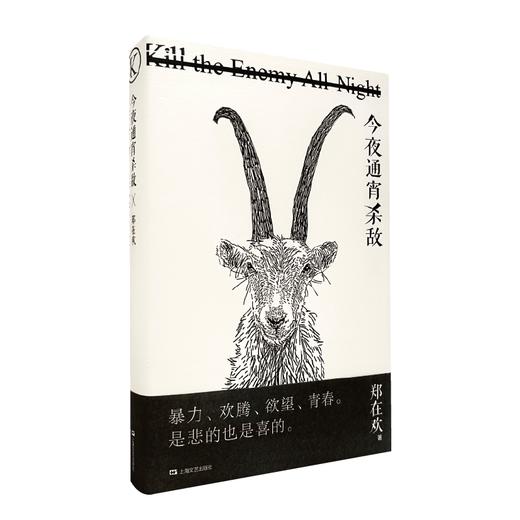 今夜通宵杀敌（第四届钟山之星年度作家，《驻马店伤心故事集》后，驻马店青年郑在欢又来啦！） 商品图0