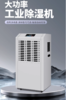 面坊挂面抽湿机除湿机 商品缩略图5