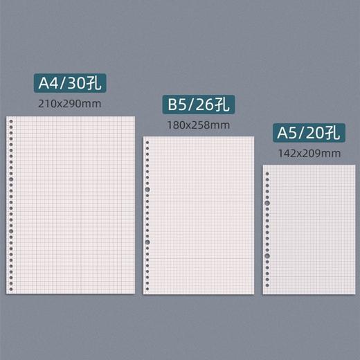 小方格活页笔记本 简约网格金属磨砂PP面1本A4/30孔B6/26孔A5/20孔替换本芯 商品图2
