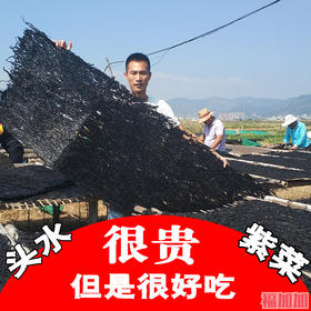 紫菜干货 霞浦头水紫菜干货紫菜蛋汤包饭100克