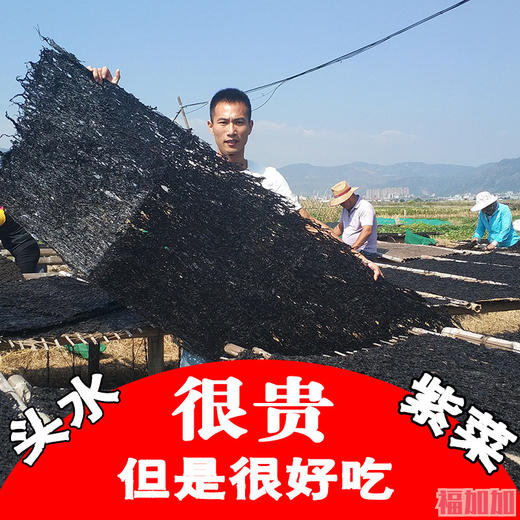 紫菜干货 霞浦头水紫菜干货紫菜蛋汤包饭100克 商品图0
