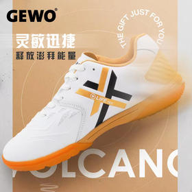 GEWO杰沃 X05 专业乒乓球鞋 国球汇