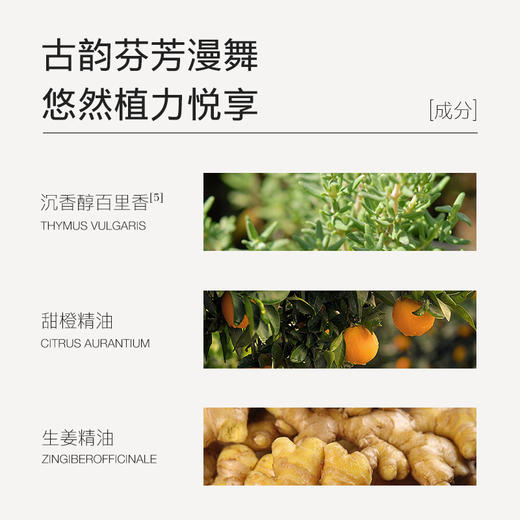 【夏徽-山鸡椒按摩精油】通泰无滞 顺达无虞 商品图2