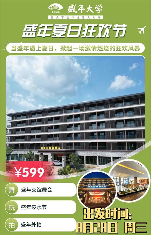 盛年夏日狂欢节 商品图0