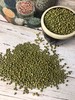 黑土地上的绿豆！【东北农家绿豆】当季绿豆 粗加工保留胚芽 无添加无色素 出沙快 绿豆芽发芽率高 消暑降火 夏季消暑的不二之选~ 商品缩略图1