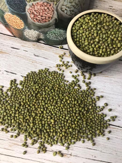 黑土地上的绿豆！【东北农家绿豆】当季绿豆 粗加工保留胚芽 无添加无色素 出沙快 绿豆芽发芽率高 消暑降火 夏季消暑的不二之选~ 商品图1
