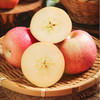 【营养丰富！山东小鲁丽苹果】新鲜采摘 产地直发！果肉香甜 咔嚓脆爽！3/9斤脆甜多汁糖心小苹果新鲜水果非维纳斯Y 商品缩略图1