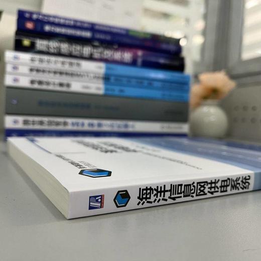 官网 海洋信息网供电系统 魏巍 新基建核心技术与融合应用丛书 海洋信息网供电系统组成供电要求发展趋势书籍 商品图3