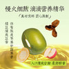 乌梅山楂汤  红豆薏米 汤 陈皮绿豆汤 三种口味 1箱10瓶*245ml 无添加健康营养休闲饮品 商品缩略图9