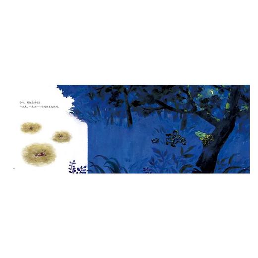 知了,知了 商品图3