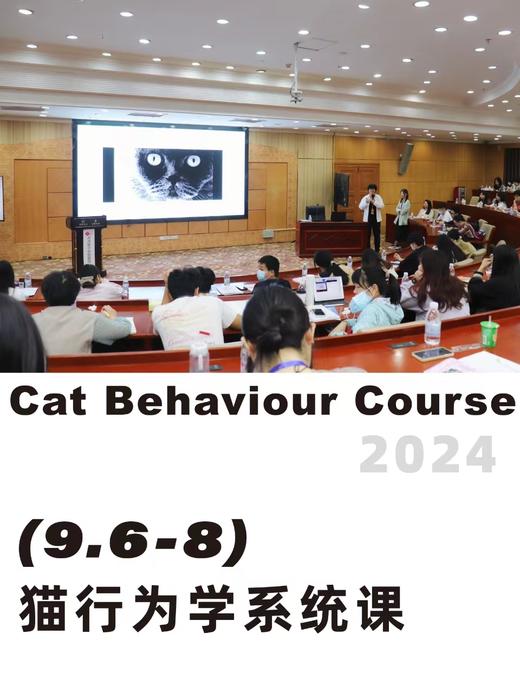 猫行为管理师系统课程 魔法猫行为资源中心举办  张莉领衔主讲  中国轻工业协会联合颁发专业证书 商品图0