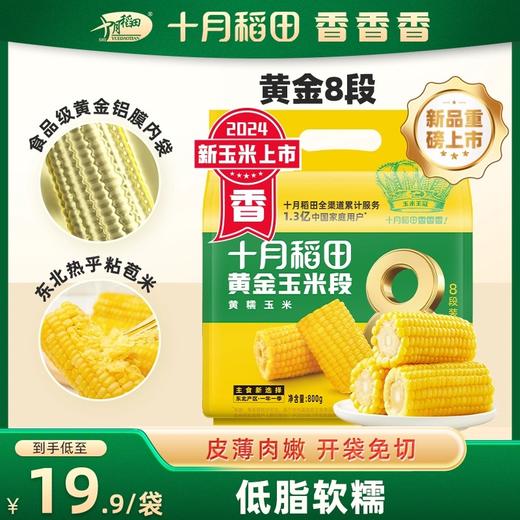 【醒粉福利17.9元8段】【24年新玉米】十月稻田 黄金玉米段/白糯玉米段 8段 800g 商品图9