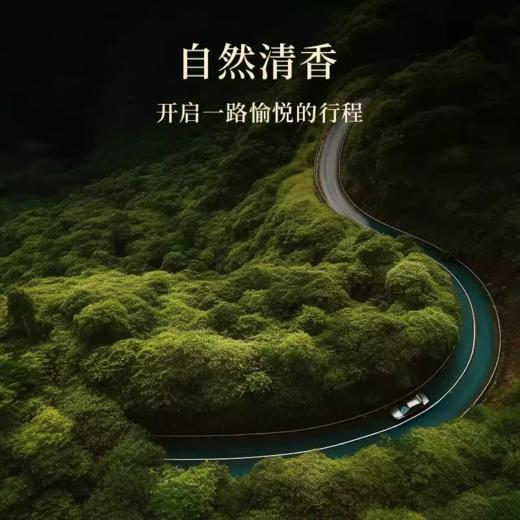 【双12大促】嘉媚乐金色飞贼车载 金奢天使车载 精油香薰出风口摆件 商品图4