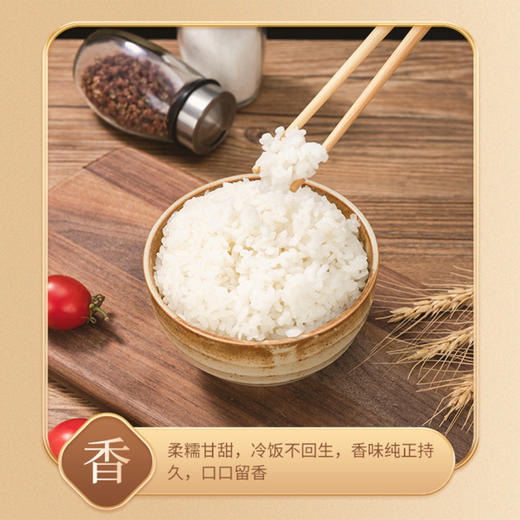 北大荒黑龙江五常大米  真空包装 5kg10斤装 优享价 商品图2