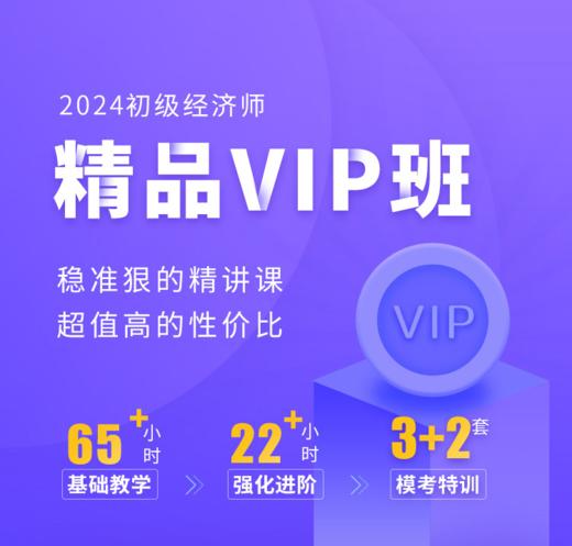 2024年初级经济师-精品vip班（2考期） 商品图0