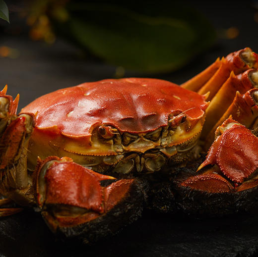 大闸蟹【礼盒装！阳澄湖大闸蟹蟹卡】肉质饱满,油润鲜香，油润鲜香，满膏满黄，中秋节送礼。ry 商品图4