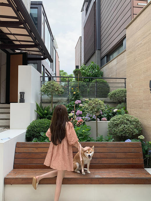 金蘑菇菇 小奶橘 /无花果陶片色系 重工蕾丝裙 商品图2