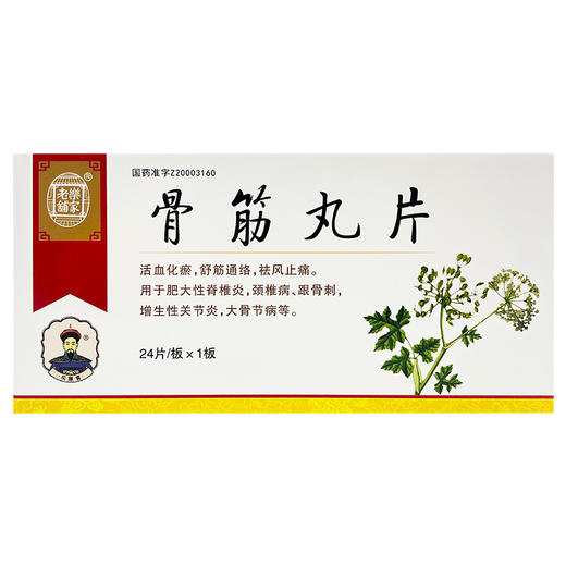 骨筋丸片，24片/板*1板，乐家老铺 商品图0