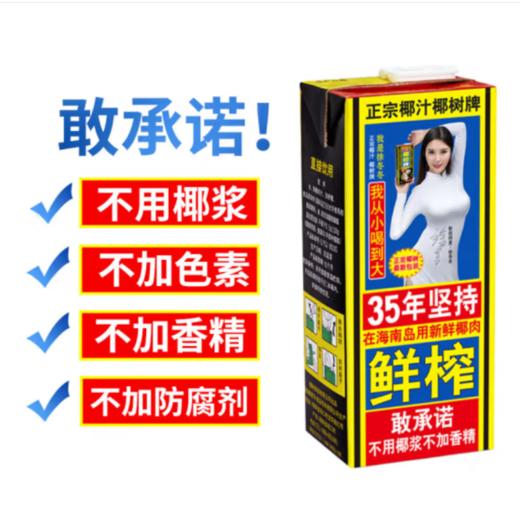 椰树椰汁 1L 商品图1