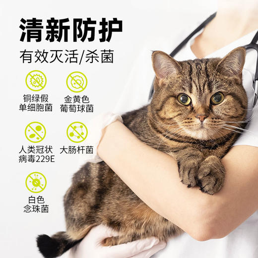 畅享优品洗护系列 眼部/耳道/肛门护理液  犬猫通用系列 专业呵护 温和清洁 草本抑菌 商品图4